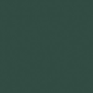 Meet your Posher, Ginger